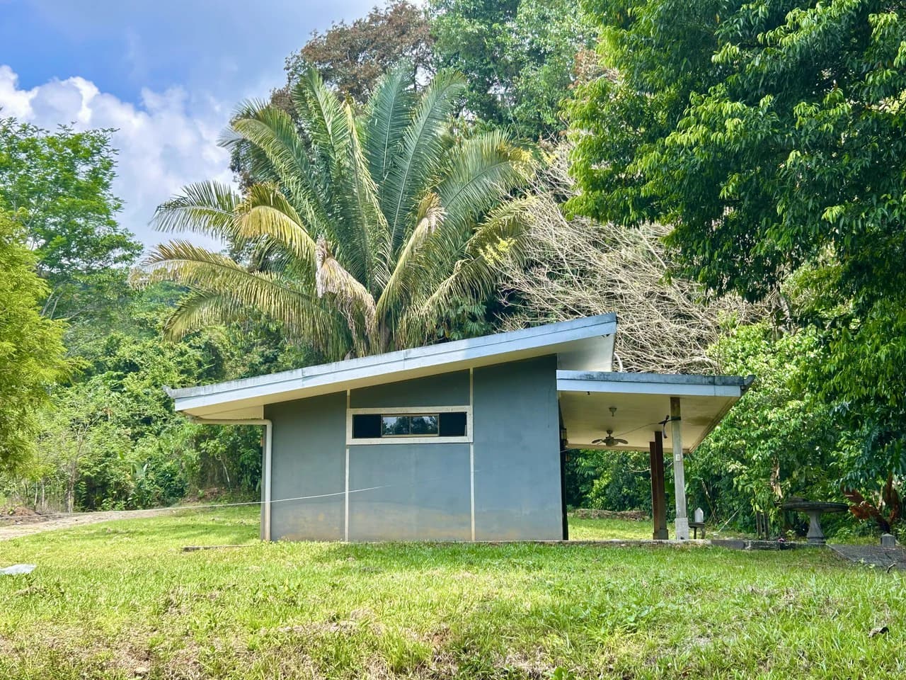 Fixer-Upper Home with an studio Office in Palmar Norte on a 7.58 Acres Property - photo 5