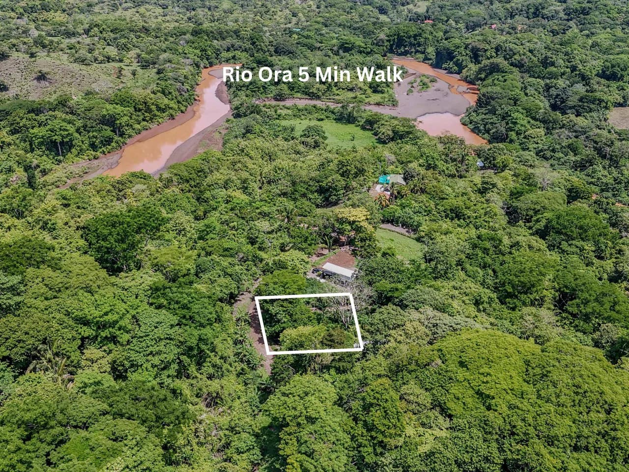 Lote Surfside - Jungle Lot mins to Surf and the River: Countryside Home Construction Site For Sale in Playa Samara - photo 8