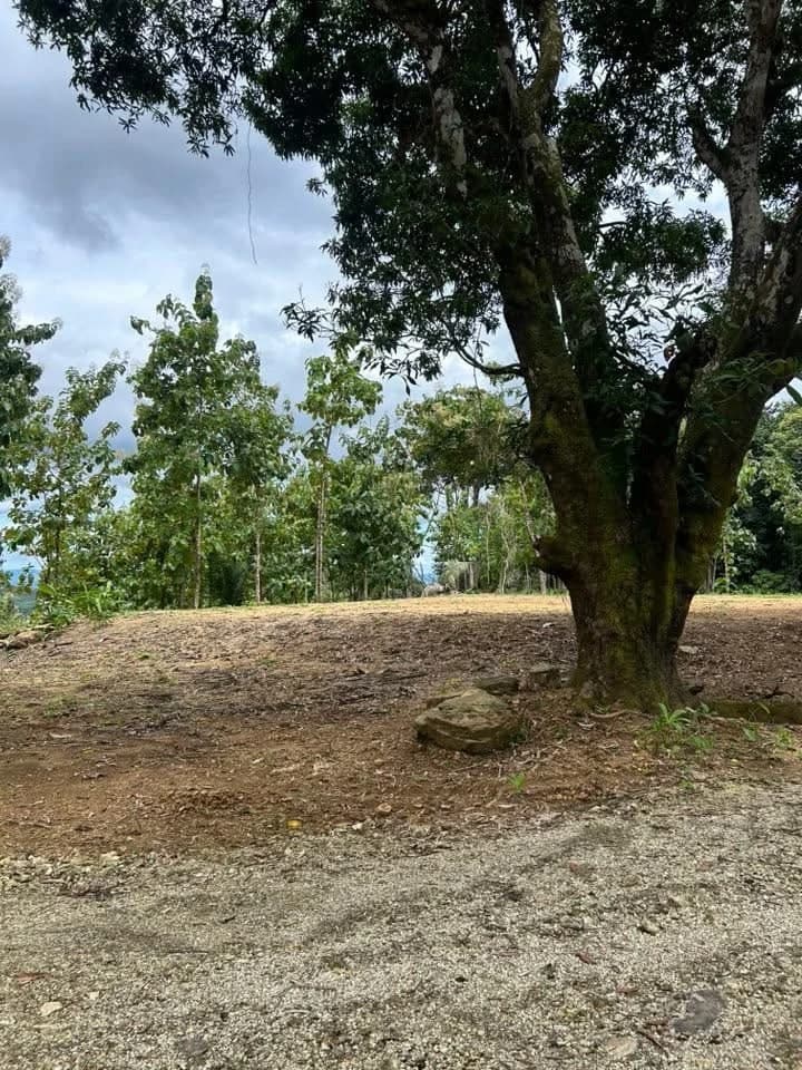River Frontage Lot For Sale in Costa Rica Residential & Commercial Zoning - photo 20