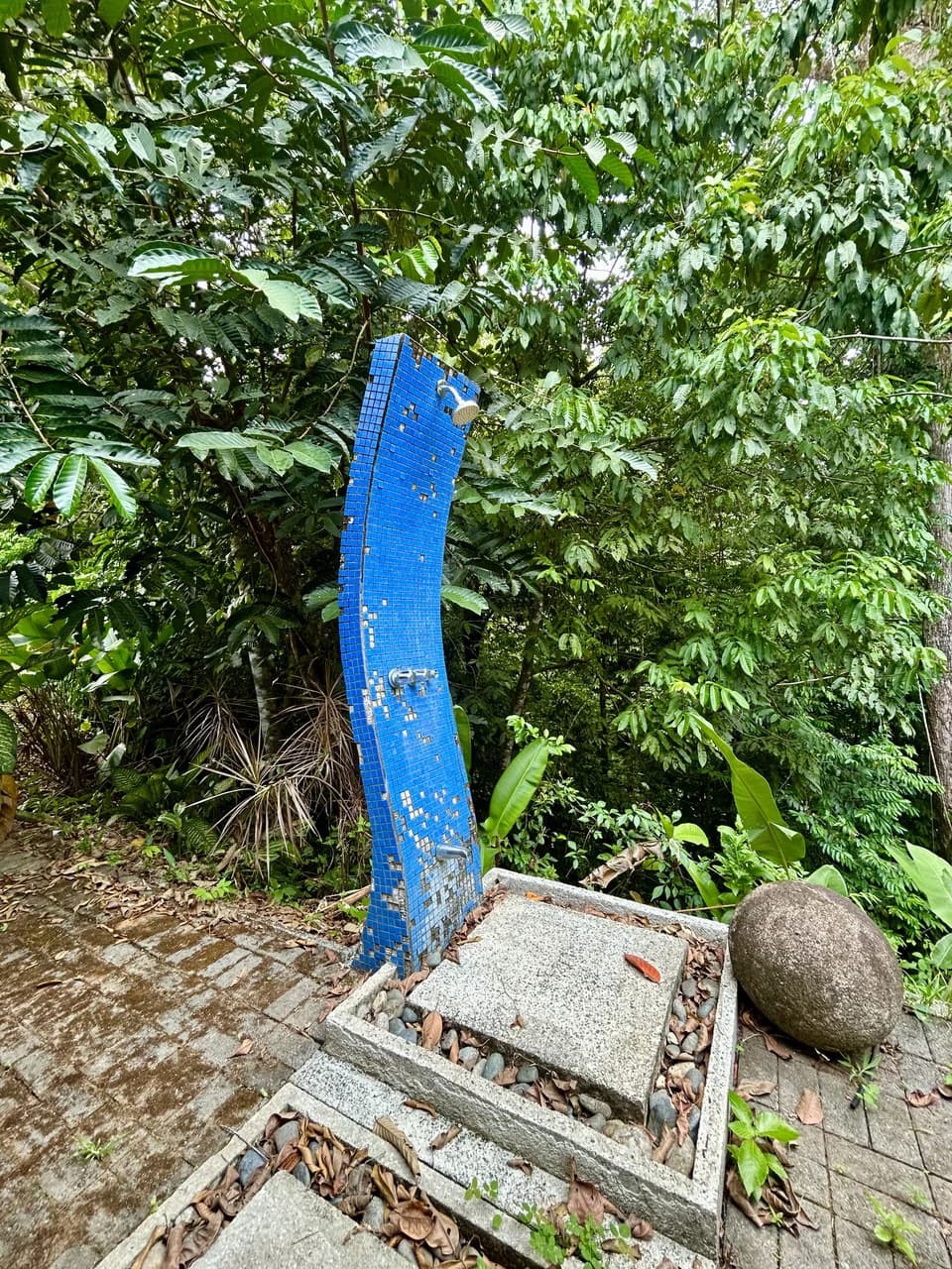 Fixer-Upper Home with an studio Office in Palmar Norte on a 7.58 Acres Property - photo 4