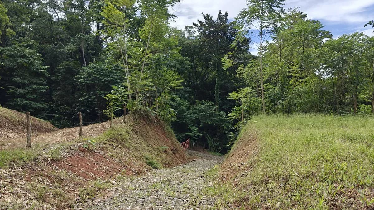 ID 345: 6,763m² Ocean View Development Land for Sale in Puerto Viejo - photo 9