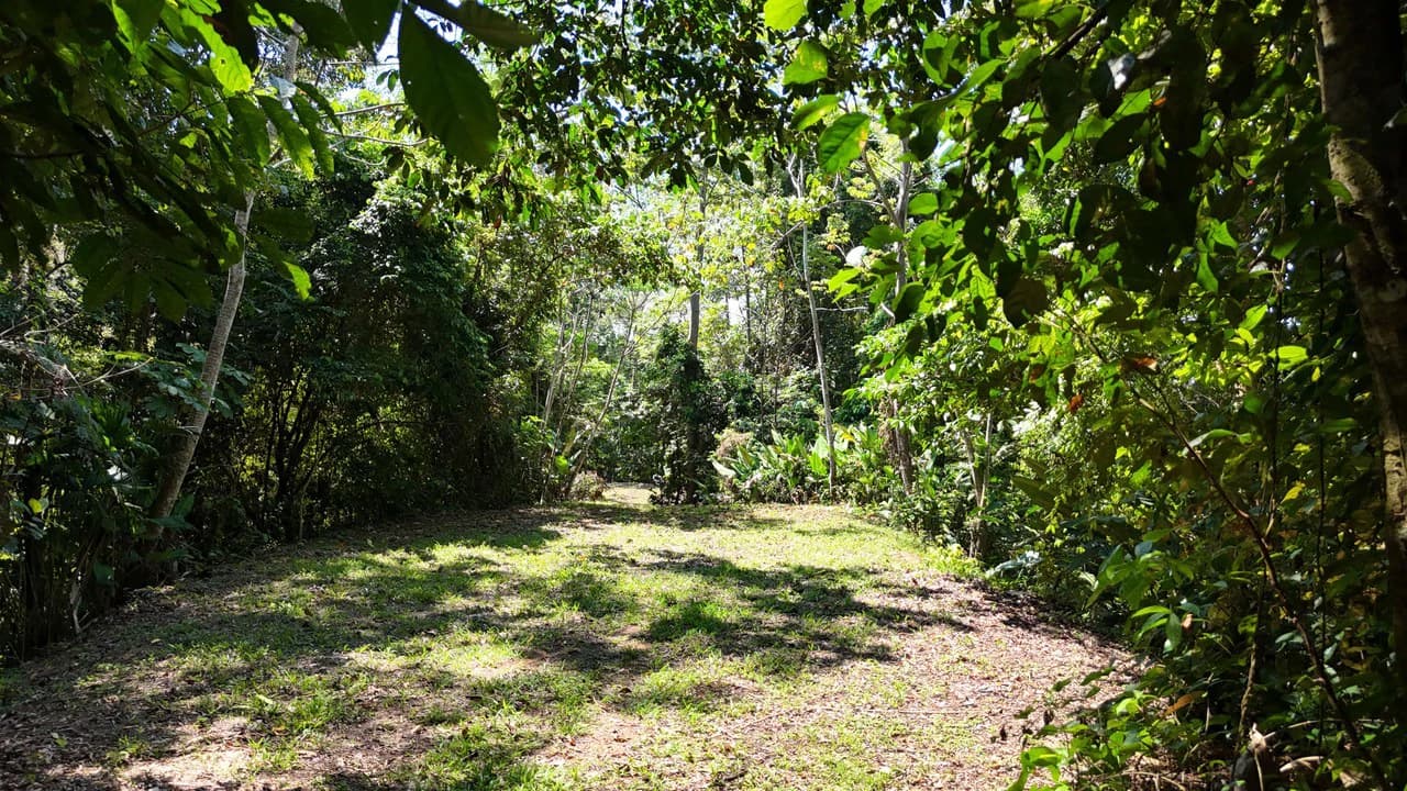 Exceptional Development Opportunity 71 acre Riverfront & Ocean View in Hatillo - photo 23