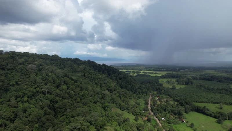 Ocean View & Primary forest 55-ha Rincon de Osa - photo 2