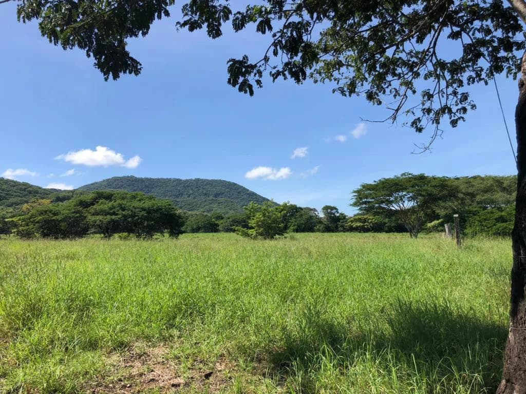 Huge dream Cattle farm for sale with 2 houses close to the Gulf of Nicoya, Guanacaste, Costa Rica - photo 28