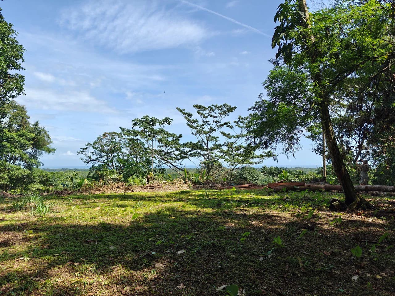 61,618m² of Land near Cahuita: With Existing Infrastructure and Ocean View - photo 3