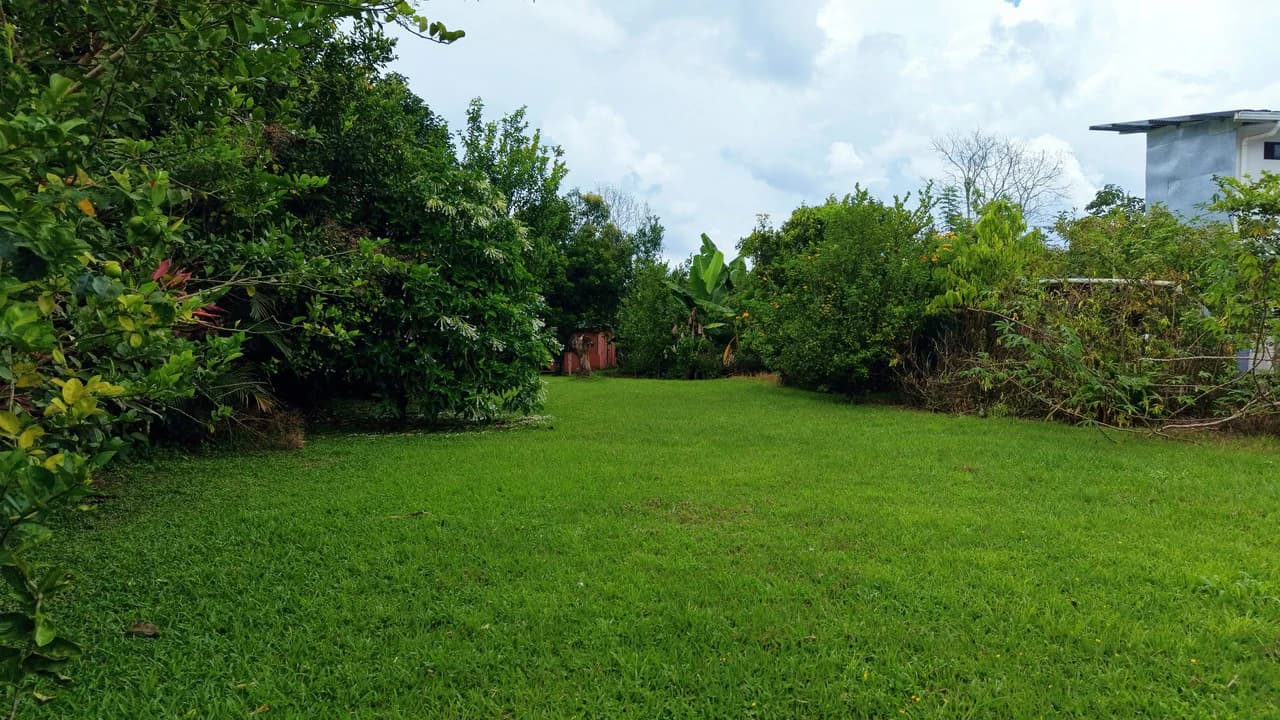 LOTE PLANO CON FRUTALES: Mountain Home Construction Site For Sale in General Viejo