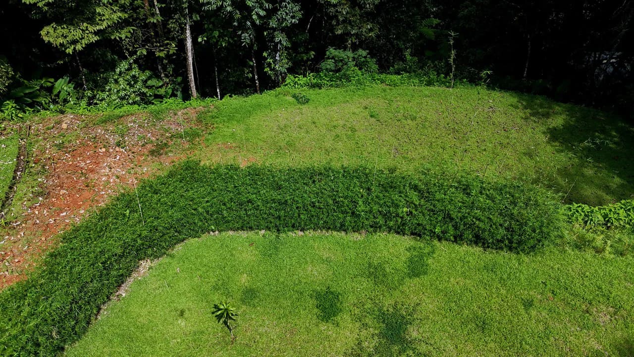 Tropical Paradise in Uvita: 939 sqm Property with Dual Building Sites, 5 Minutes from the Beach - photo 10