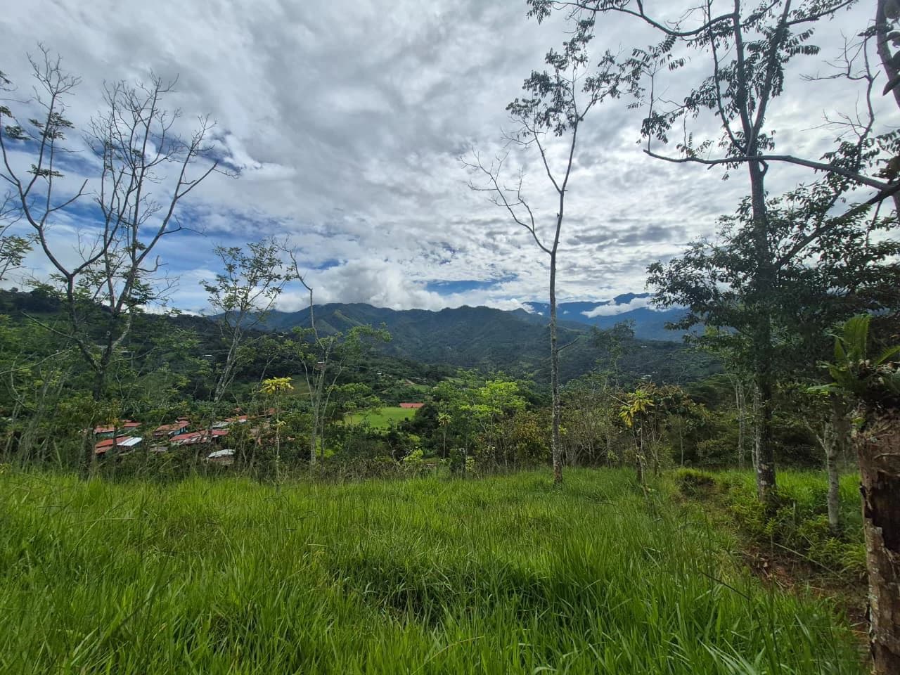 Se vende 6acres en San Antonio de Rivas, Pérez Zeledón: Countryside Home Construction Site For Sale in San Isidro del General - photo 20
