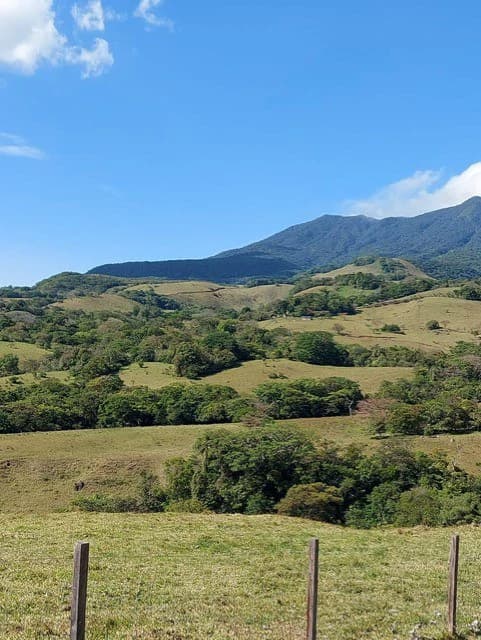 Warm Spring Mountain Property in a tropical landscape and antique wooden house, 50 minutes from Liberia city - photo 31