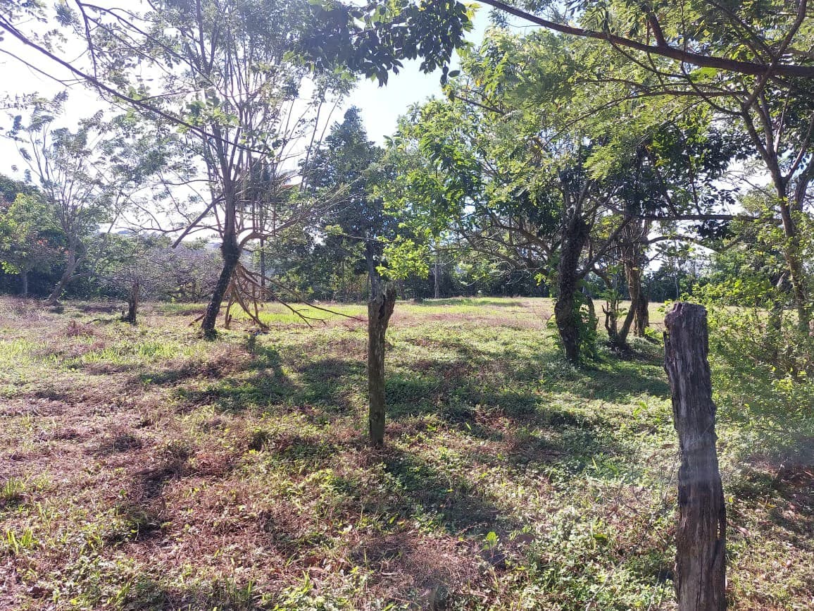 VISTA BAHIA : Newly remodelled Home on 3 acres lake view and public road front - photo 3