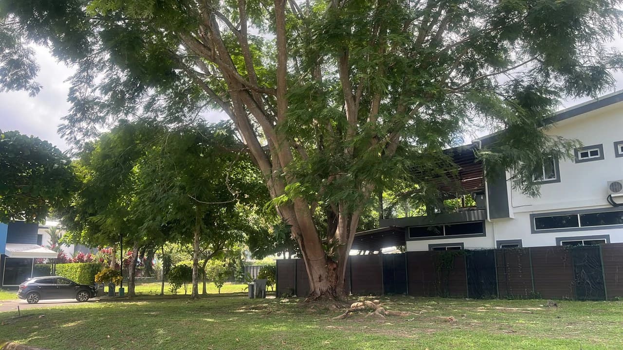 Prime Lot in Condominio El Bambú – Punta Leona - photo 2