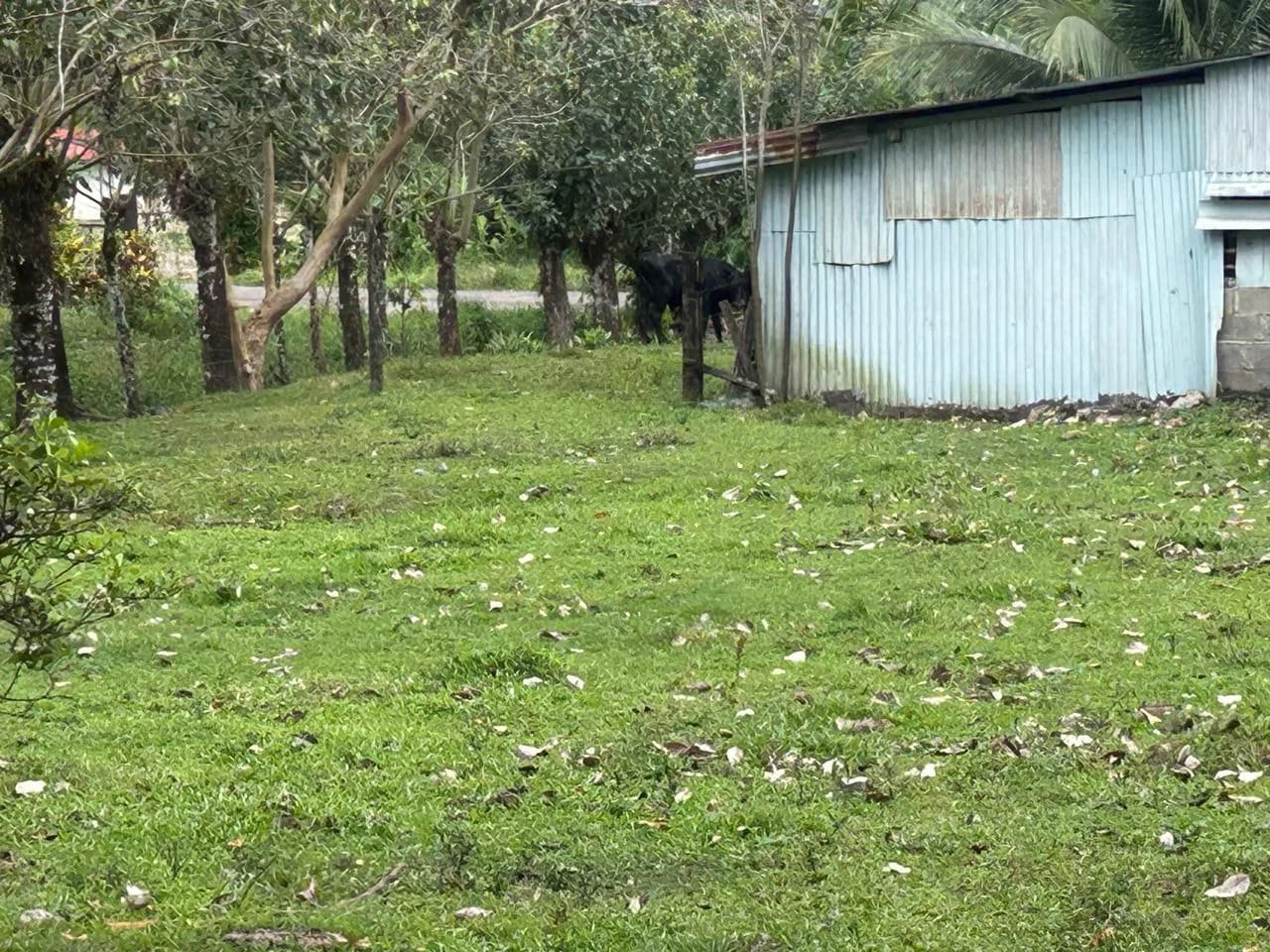 Land for Sale 4803 m2: Over 1 acre - photo 9