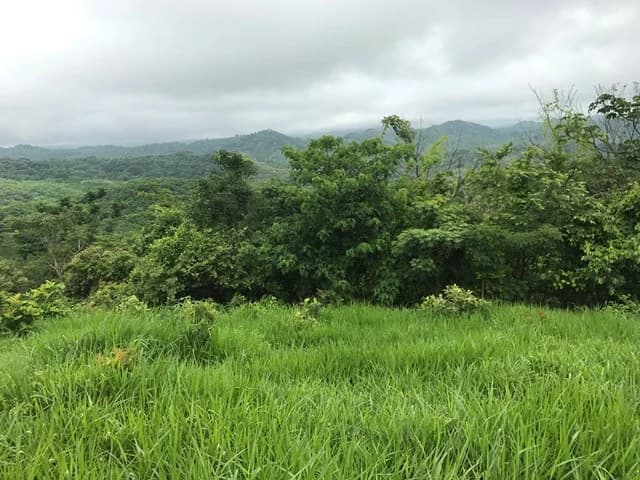 Ocean View Farm - photo 5