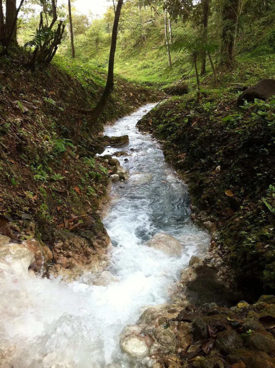 Hot and Cold Thermal Springs for Sale – Beautiful Property in Dos Ríos, Alajuela with Excellent Commercial Potential - photo 81
