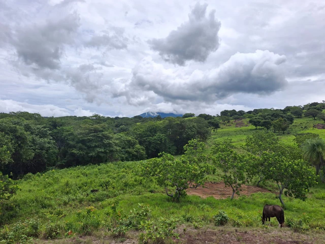 REDUCED! Natural beauty meets Tranquility!: 70,000m2 in Growing Geothermal Eco-Tourism area! - photo 9