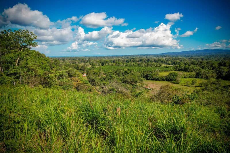 Ocean View & Primary forest 55-ha Rincon de Osa - photo 34