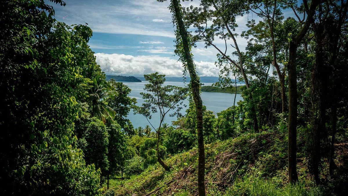 Rincon Mountain Land Gulf View | A Breathtaking Landscapes of Rincon - photo 25