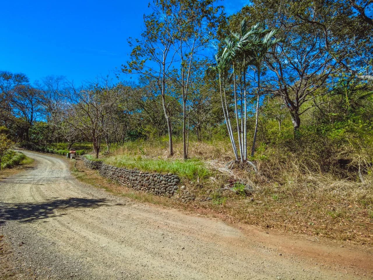 Tierra Pacifica #9: Secluded Lot in Gated Eco Community - photo 3