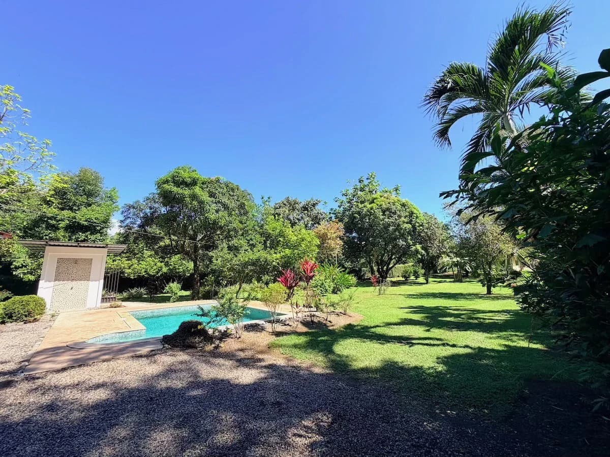 Osa Peninsula Turnkey Property Near Golfo Dulce Beach - photo 7