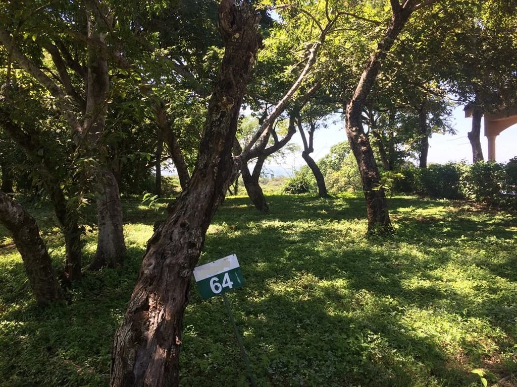 Great Ocean, valley and garden view Lots for sale in a Private Gated Community in Peninsula Papagayo - photo 4