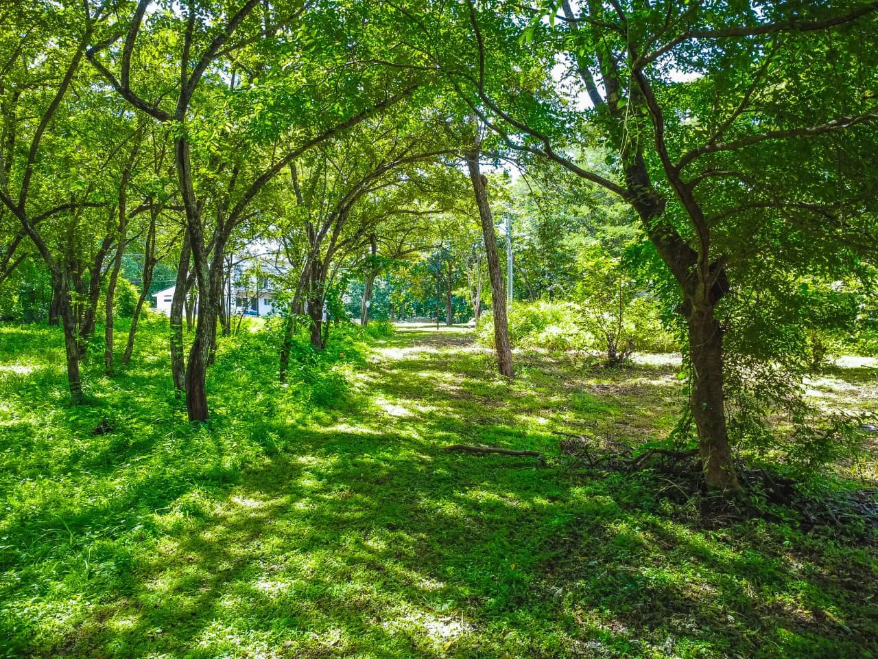 Residential Lot in Rancho Tranquilo - photo 7