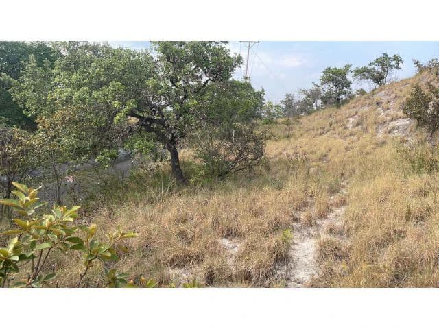 Zoning for homes, apartments, and warehouses in the mountains of Liberia, Beautiful 9.7 ha land with building permits - photo 17