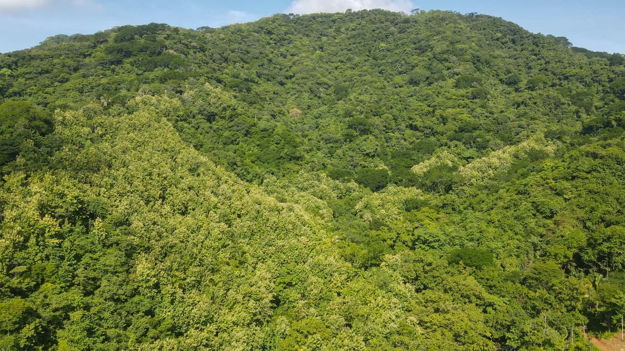 Farm for sale Bejuco Nandayure Guanacaste Costa Rica - photo 4