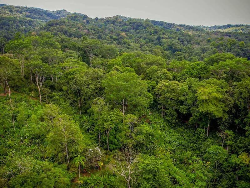 Golfo Dulce Waterfall Jungle Farm | A Nature Lover's Dream Come True - photo 8