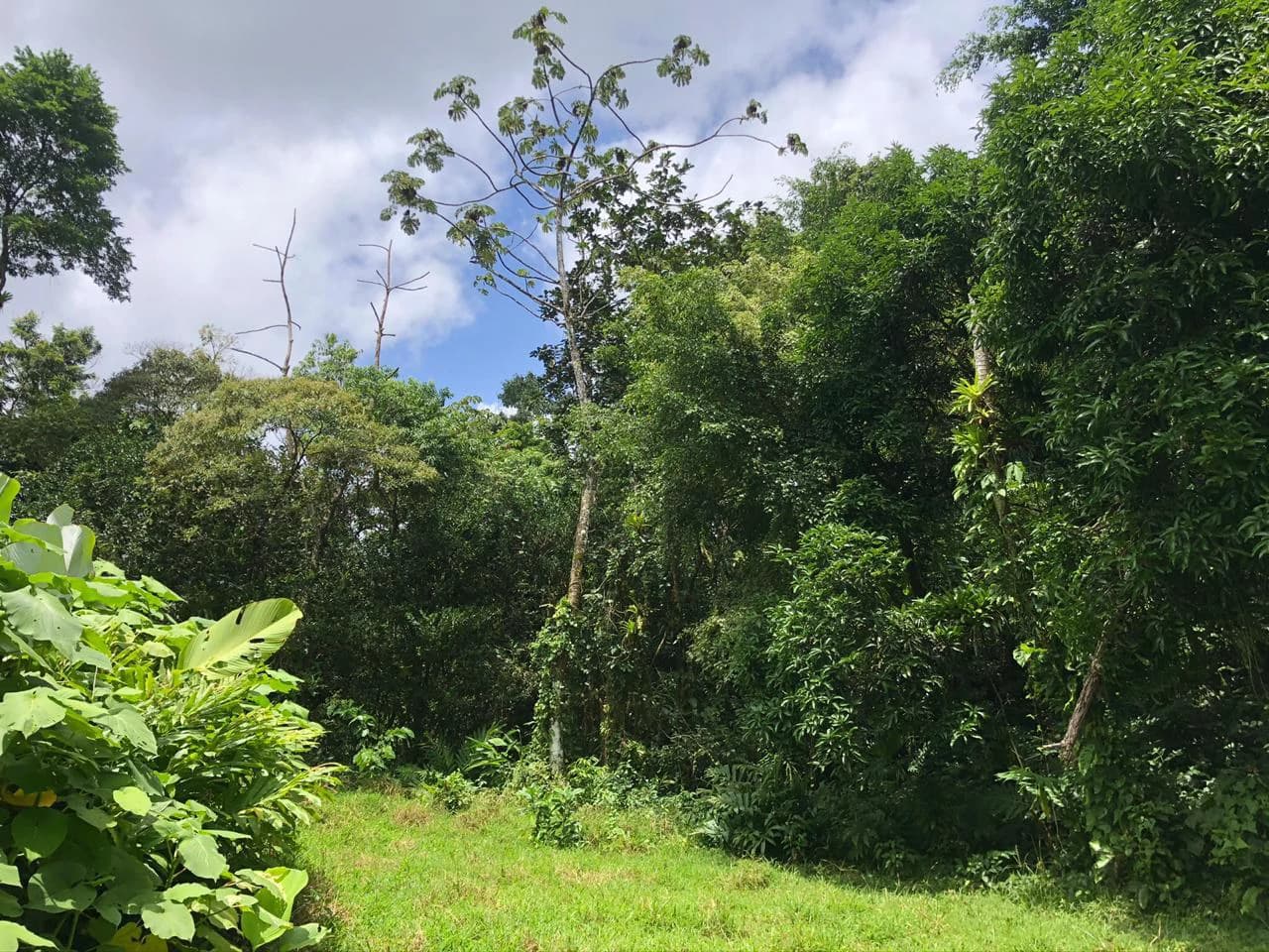 Hot Springs Property in Dos Ríos de Upala – Excellent Investment Opportunity - photo 38