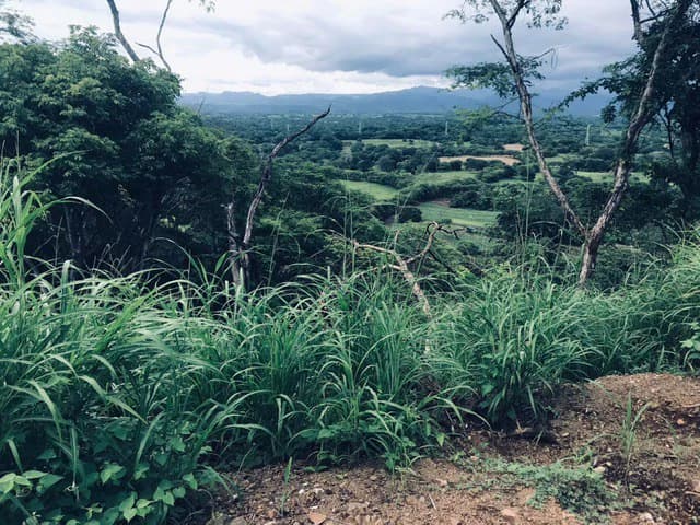 Amazing 50% discount for Huge ocean-view farm for sale surrounded by soft rolling hills and pristine nature - photo 40