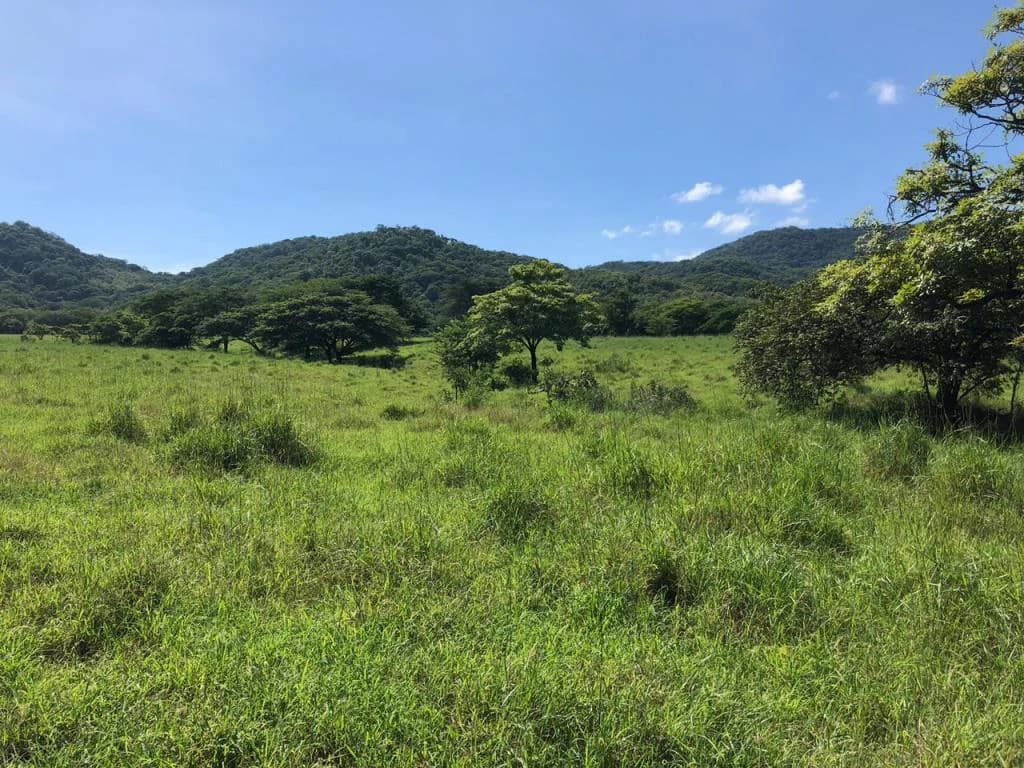 Huge dream Cattle farm for sale with 2 houses close to the Gulf of Nicoya, Guanacaste, Costa Rica - photo 25
