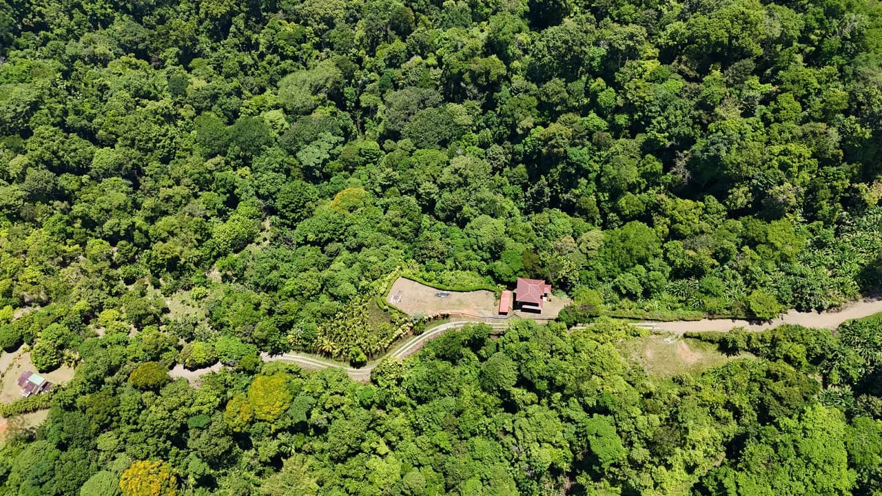 Stunning Ocean View Property with Luxury Pre-construction Home waiting to be Customized - photo 8