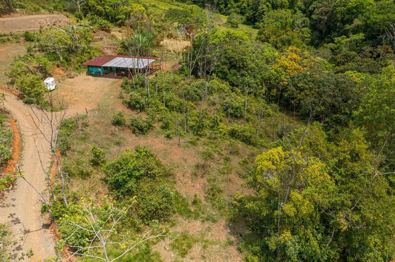 Mountain Mixed Use Building For Sale in Savegre - photo 33
