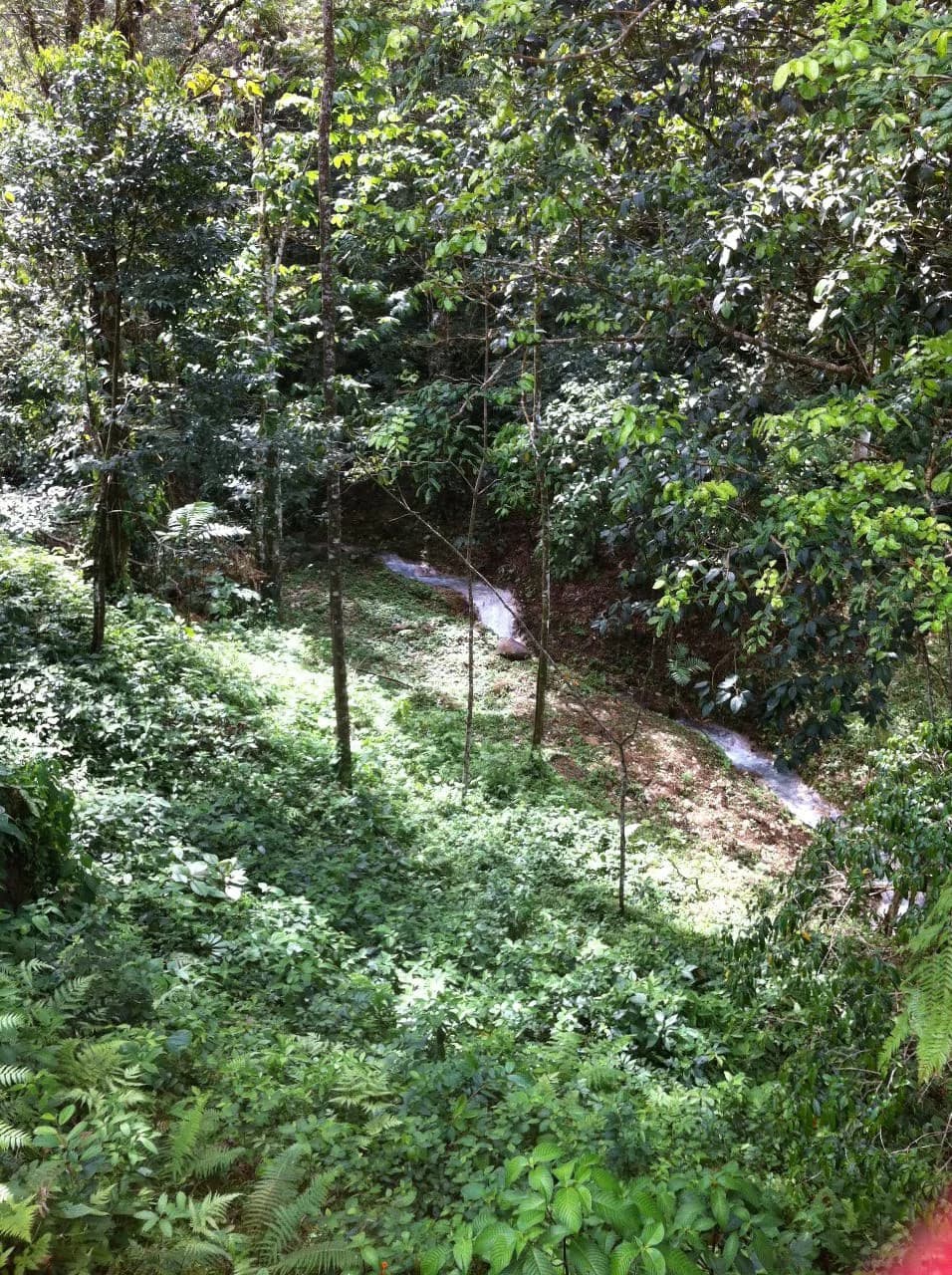 Hot and Cold Thermal Springs for Sale – Beautiful Property in Dos Ríos, Alajuela with Excellent Commercial Potential - photo 70