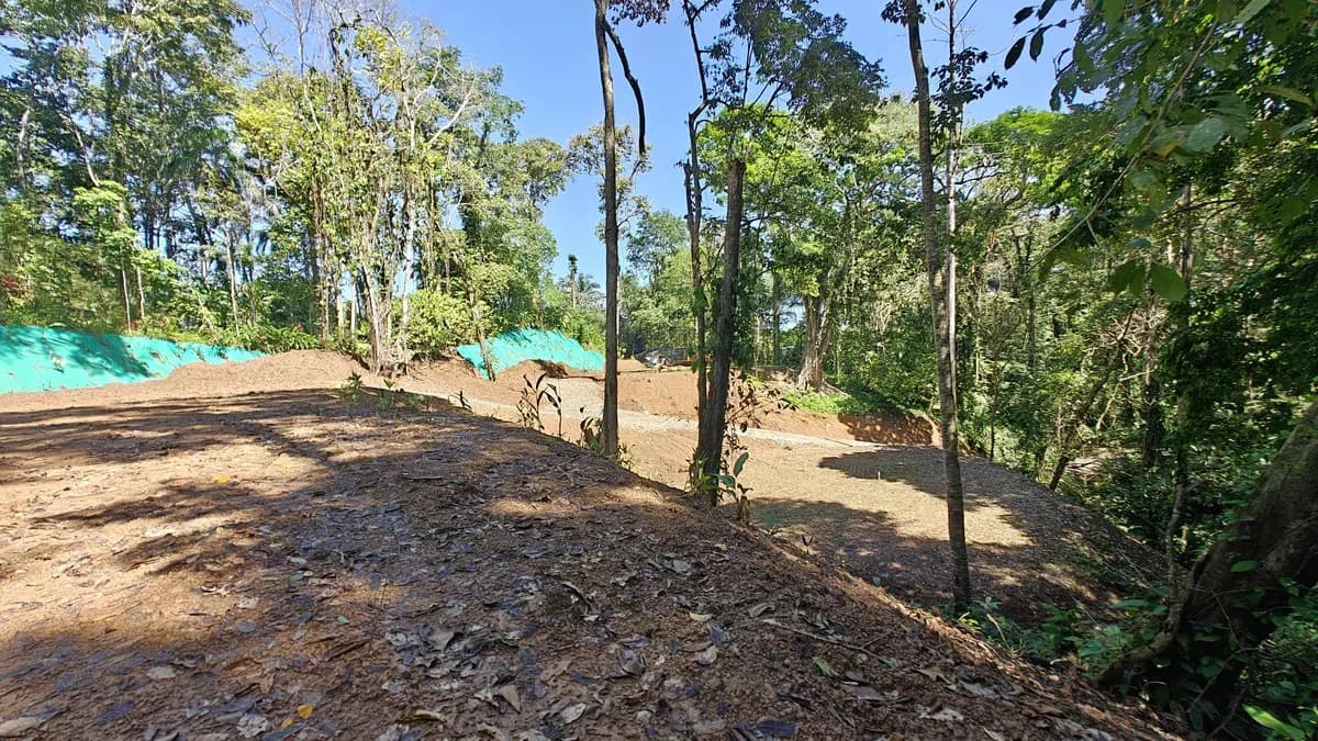 ID 1011: 7535m² Cahuita Land Near the Beach with Building Platform - photo 2