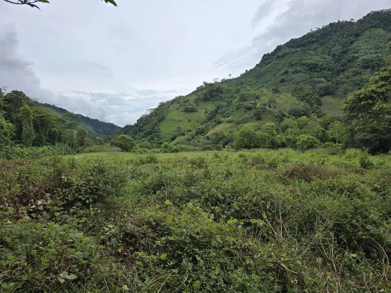 Mountain Home Construction Site For Sale in Río Nuevo - photo 5
