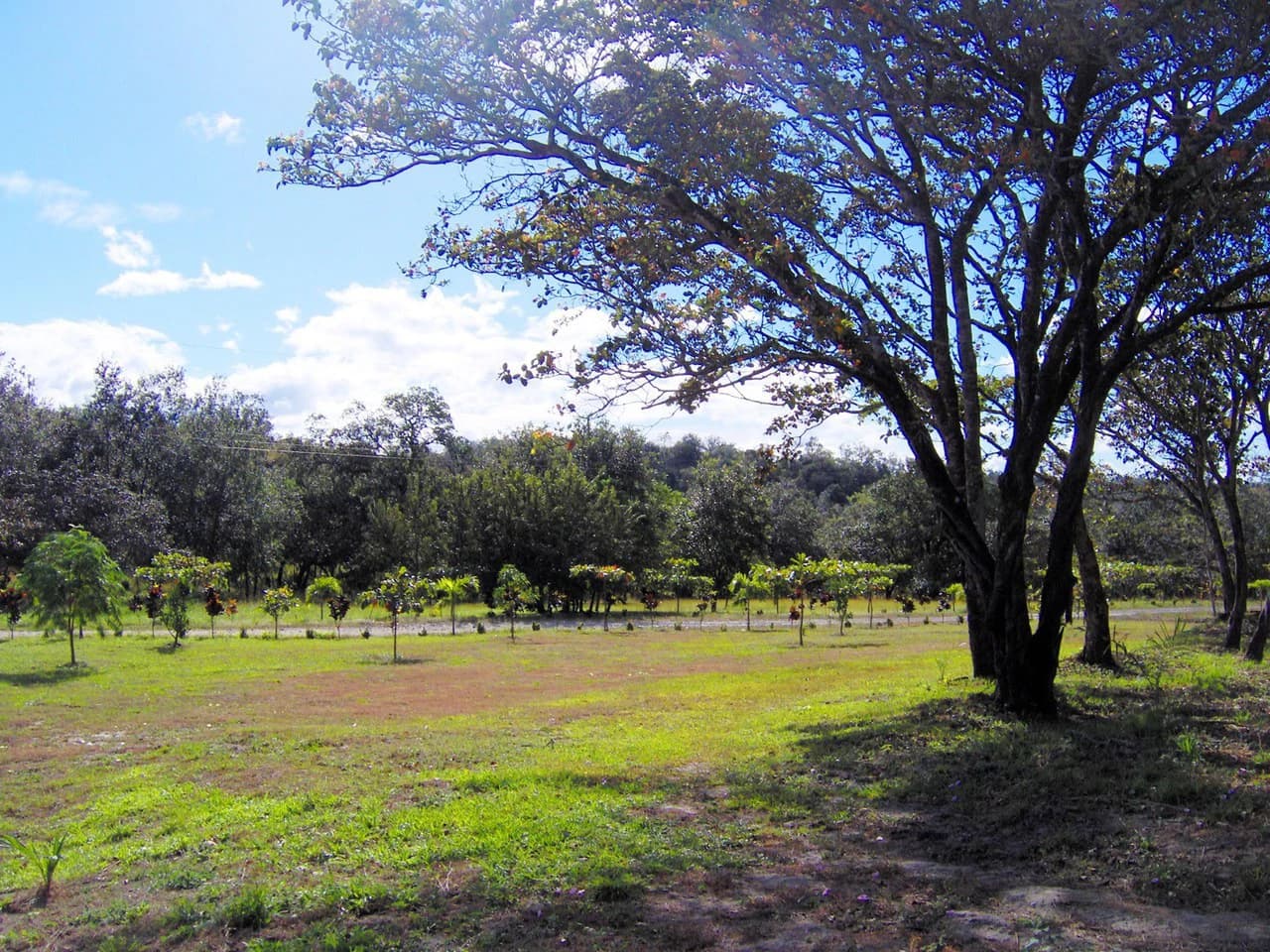Colorado River Paradise Farm for Sale - Just 10 Minutes from Liberia - photo 11