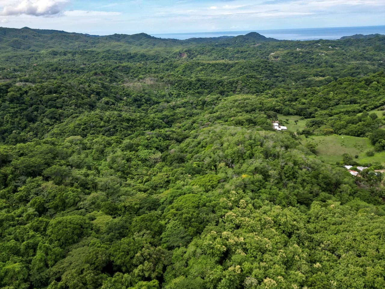 Finca Montana: 125 Acre Finca With Stunning Ocean Views - photo 10