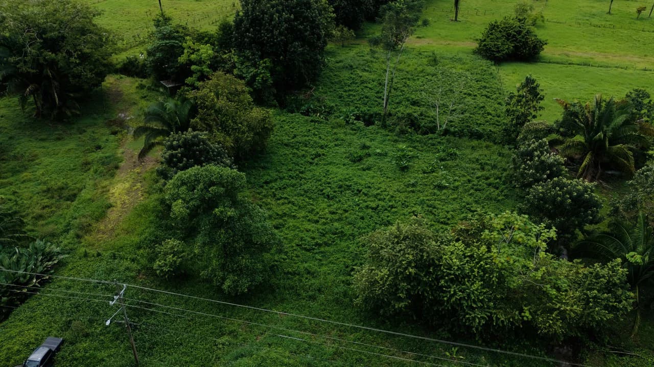 Strategic 5000sqm Commercial Property in Uvita: Perfect for any Business Vision - photo 5