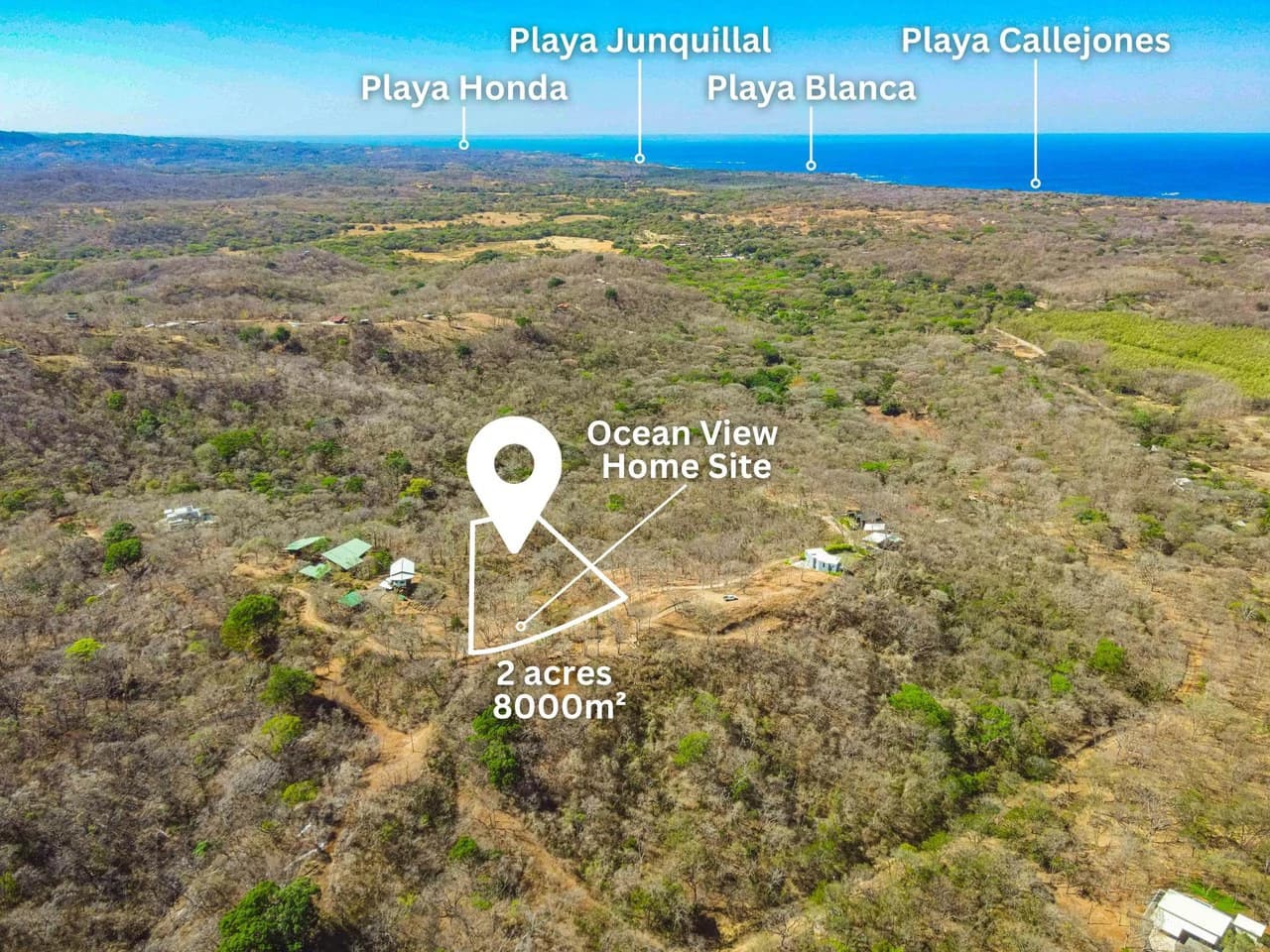 Pura Jungla #9: Ocean Views, Nature and Serenity in Playa Negra - photo 3