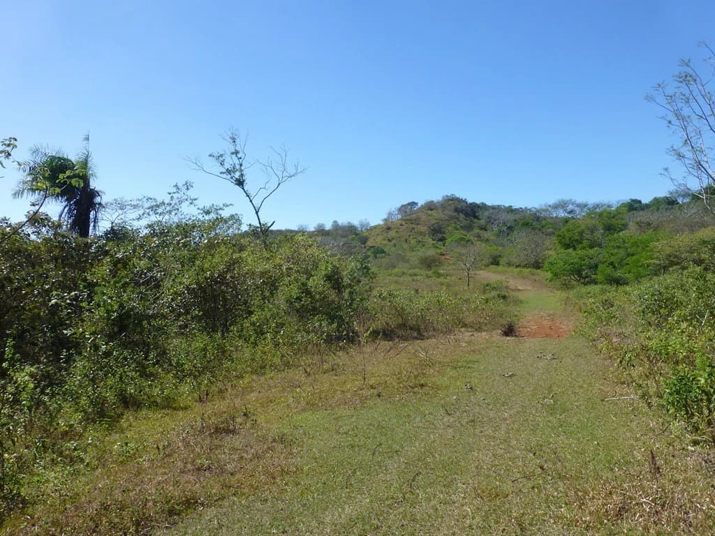 Ocean view farm for sale in the mountains of San Juanillo