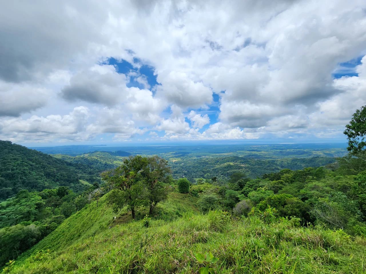 PRIME PARRITA FARM FOR SALE - photo 53