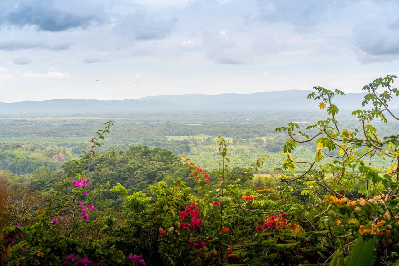 Casa Mono Titi: Front Ridge Ocean View – Tres Rios, Costa Rica - photo 36