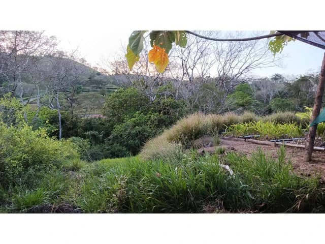 Exclusive lot for sale in Hojancha's green, tropical, rolling mountains, just 3 minutes from town - photo 3