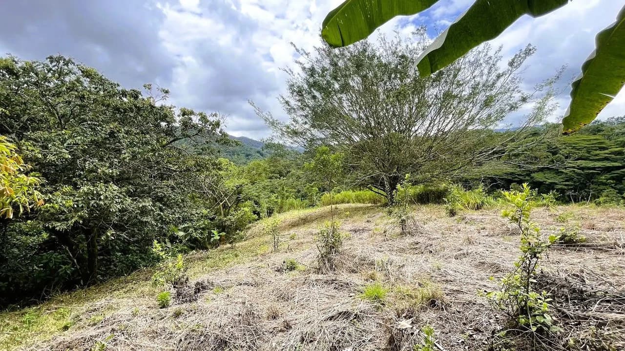 LAND FOR SALE IN SAN MIGUEL, NARANJO - photo 18