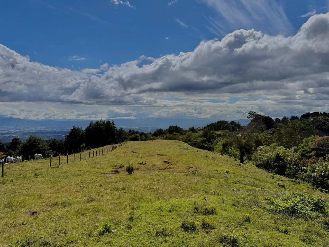 Land + City Views!: 7,133 m² with Panorama Central Valley views!
