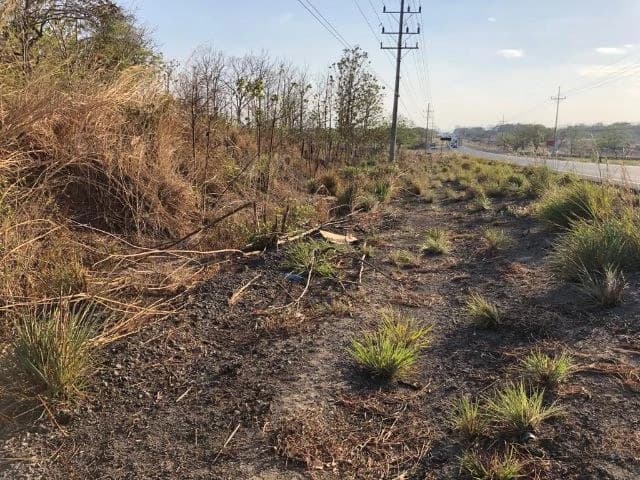Commercial Property for sale, Located directly in front of the national Route #21 and Diagonal from the new project NYA - photo 7