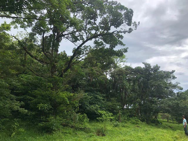 Warm Spring Mountain Property in a tropical landscape and antique wooden house, 50 minutes from Liberia city - photo 9
