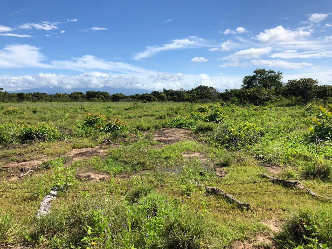 Great investment opportunity, property adjacent to Liberia Airport - photo 11