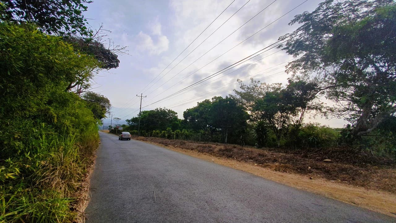 FRUIT TREE PROPERTY FOR SALE: Home Construction Site For Sale in San Isidro del General - photo 8
